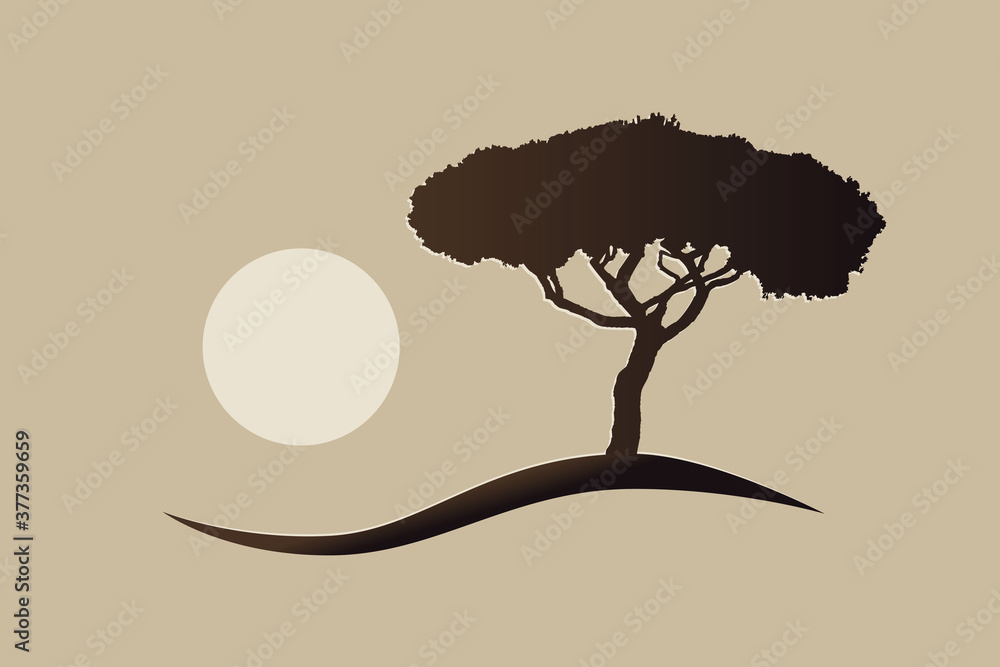 Fototapeta mediterranean vector umbrella pine tree silhouette an the sun