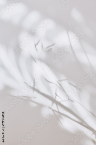 abstract blurred background. beautiful shadows of wild grasses. summer concept. flat layout