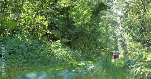 City tram is going through the forest to Pushcha-Vodytsia, Kyiv, Ukraine photo