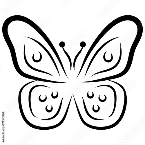 Butterfly Shape