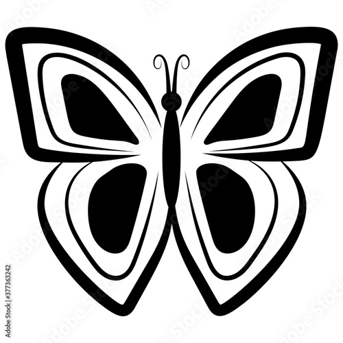 Butterfly Shape