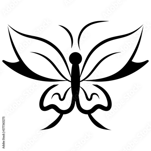 Spring Butterfly