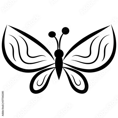 Butterfly Shape photo