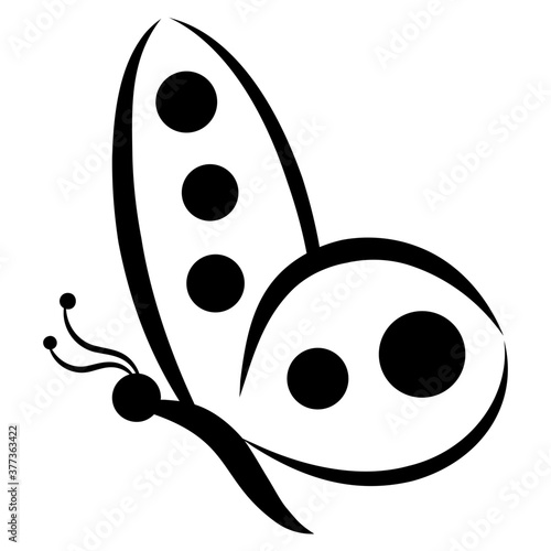 Spring Butterfly