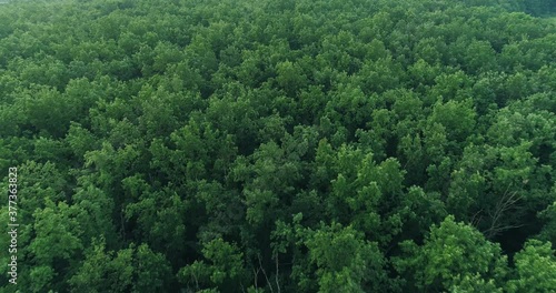 Aerial forest landscape view. Deciduous green trees crown drone flyover low motion. Park reservation. Nature scenery. Inspiration meditation