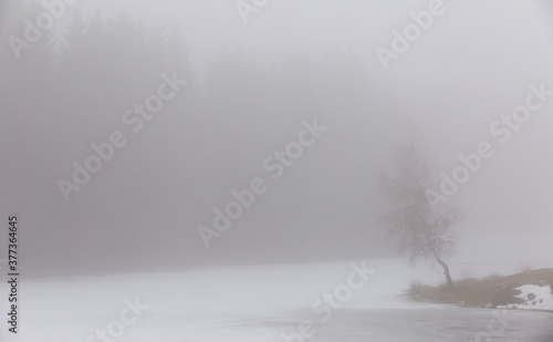 Winter scenery in a mountain forest  with frost and fresh powder snow