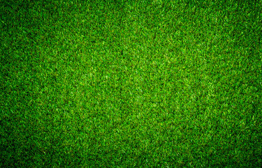 Green grass texture can be use as background