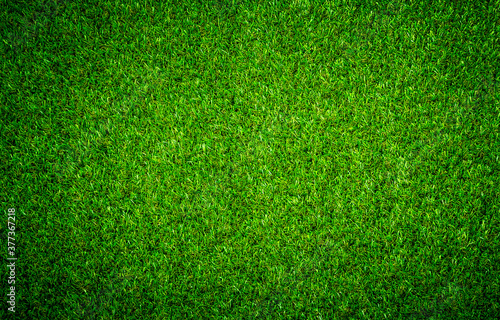Green grass texture can be use as background © tendo23