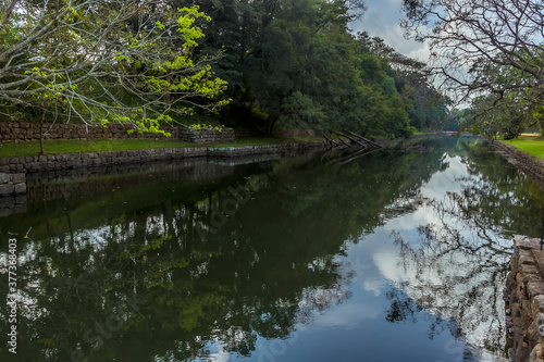 Reflections in the moat around the rock fortress of Sigiriya  Sri Lanka