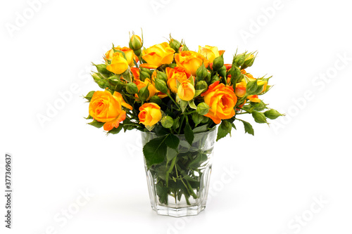Beautifull orange roses isolated on white background. Copy space © Olga