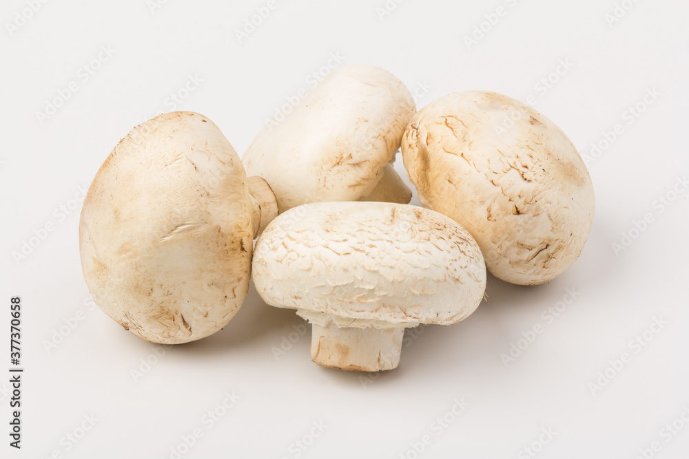 Fresh Champignon mushroom, isolated on white background. Close-up