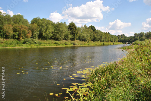 River scape in the middle of the summer