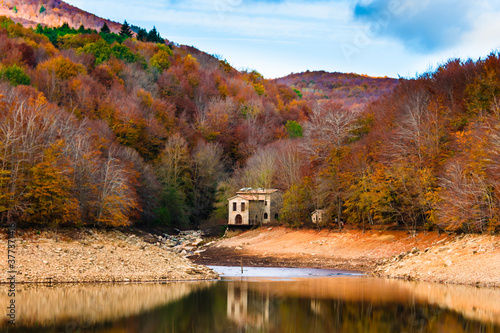 Photography Colorful trees and leaves in autumn in the Montseny Natural Park in Barcelona, S