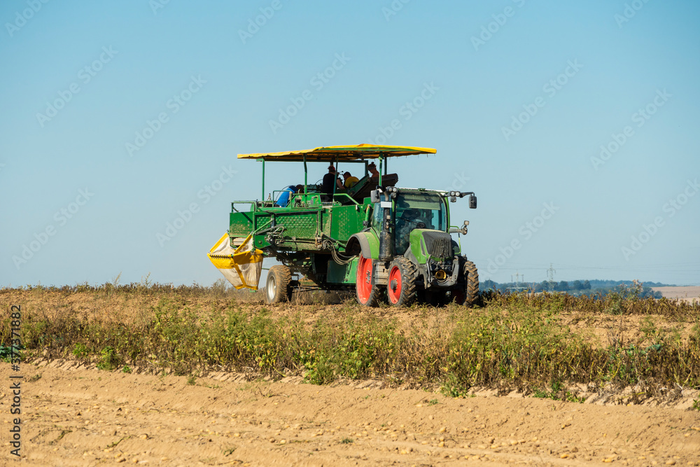 Fototapeta premium Traktor mit Kartoffelroder auf einem Acker