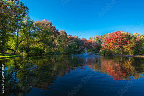 Autumn fall landscape reflected on the water in Bucks County, Pennsylvania, USA.