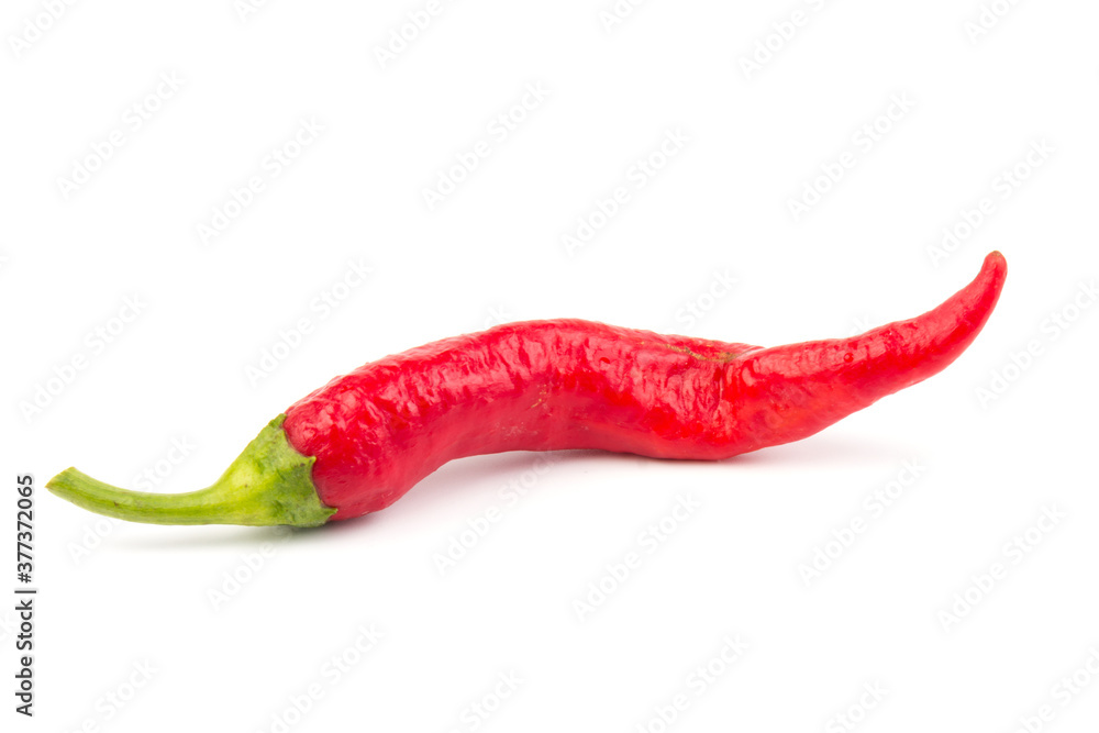 One Red hot chili pepper isolated on white background. Close-up One Red hot chili pepper isolated on white background. Close-up