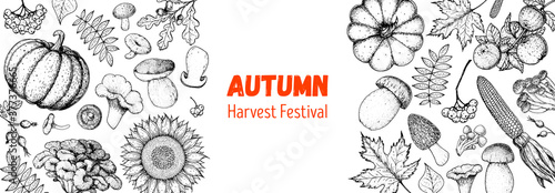 Harvest festival. Hello autumn illustration. Hand drawn frame with fall leaves, pumpkins. Vector illustration. Thanksgiving design template. Sketch design.