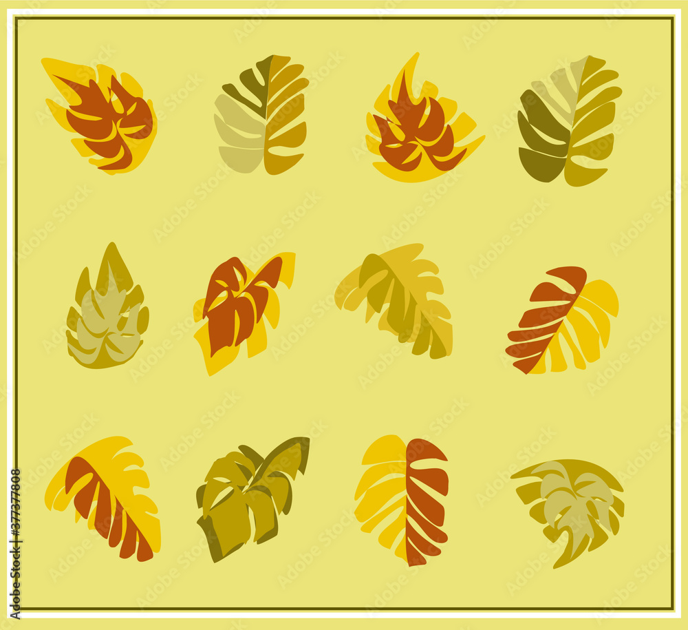 Set of autumn leaves. Autumn. Orange and yellow leaves. Maple, monstera, birch, Rowan, aspen. Isolated objects. Vector illustration. Set of autumn leaves. Autumn. Orange and yellow leaves. Maple, monstera, birch, Rowan, aspen. Isolated objects. Vector illustration.