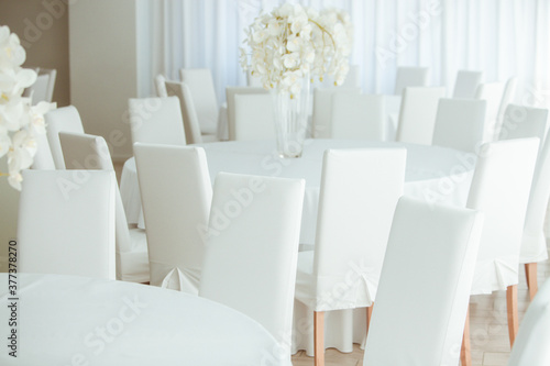 Empty restaurant luxury interior background. Empty chair and table inside room photo. White restaurant interior. © romeof