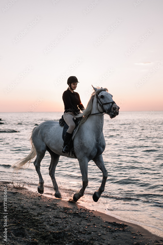beautiful prancing horse with young woman riding near the sea on the beach in silhouette beautiful prancing horse with young woman riding near the sea on the beach in silhouette