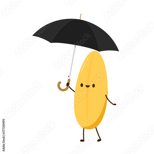 Rice character design. rice vector on white background. rice seed. umbrella vector. photo