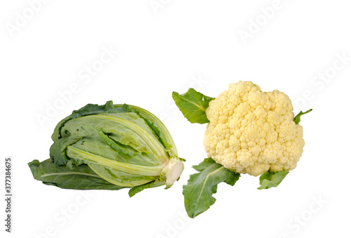 Fresh organic cauliflower vegetable on isolated white background