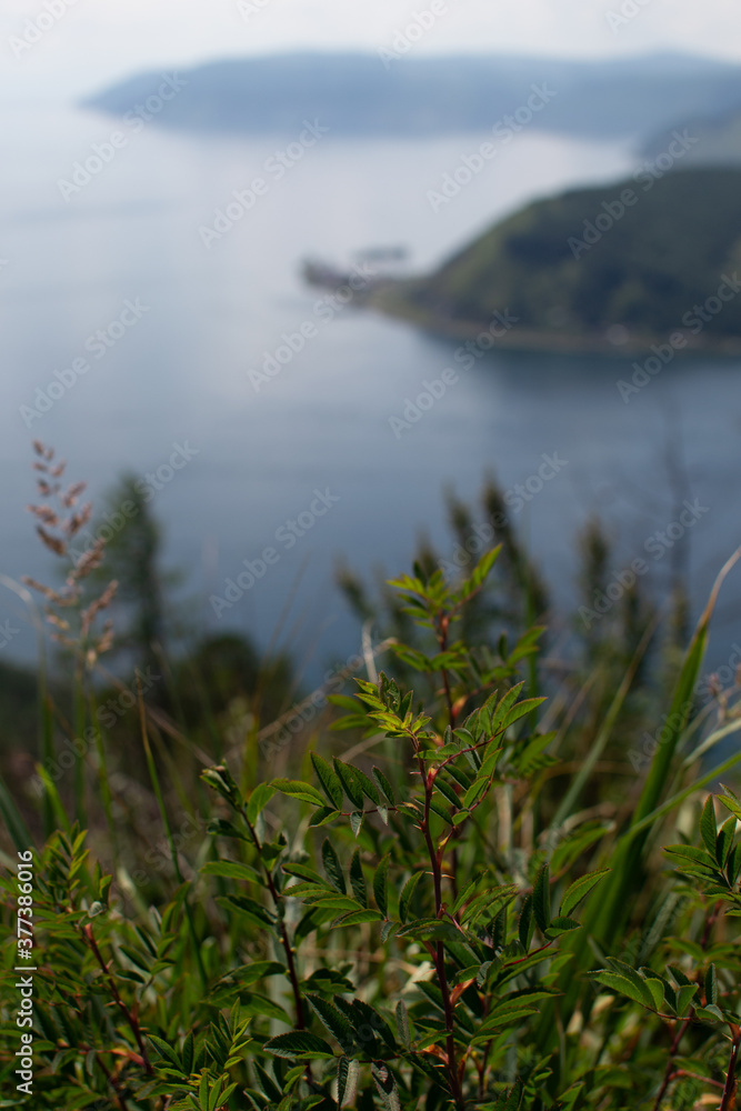green grass, top view of rocks forest mountains near bay of blue lake baikal the mouth of angara river from chersky stone, port of baikal