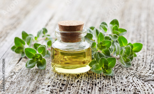 Oregano plant with essential oil on wooden background