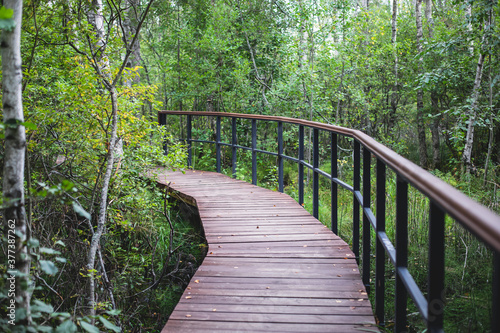 Summer view of wooden walkway on the territory of Sestroretsk swamp, ecological trail path - route walkways laid in the swamp, reserve "Sestroretsk swamp", Kurortny District, Saint-Petersburg, Russia