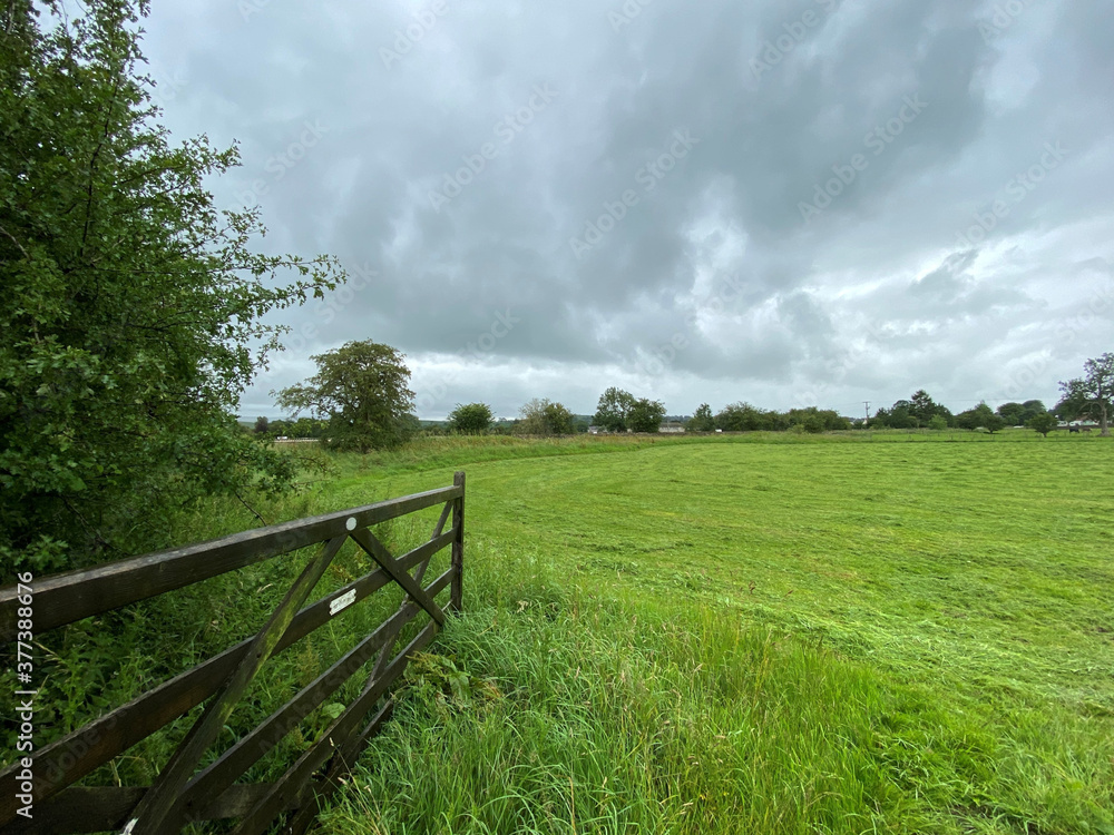 Open farm gate, leading into a large green meadow, with trees on the horizon near, Skipton, Yorkshire, UK