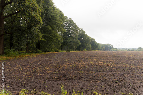 An agricultural field on a rainy day near Vorden  The Netherlands