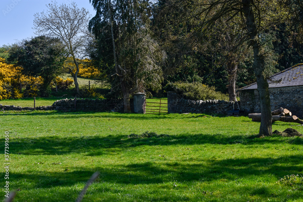 Green Irish fields Green Irish fields