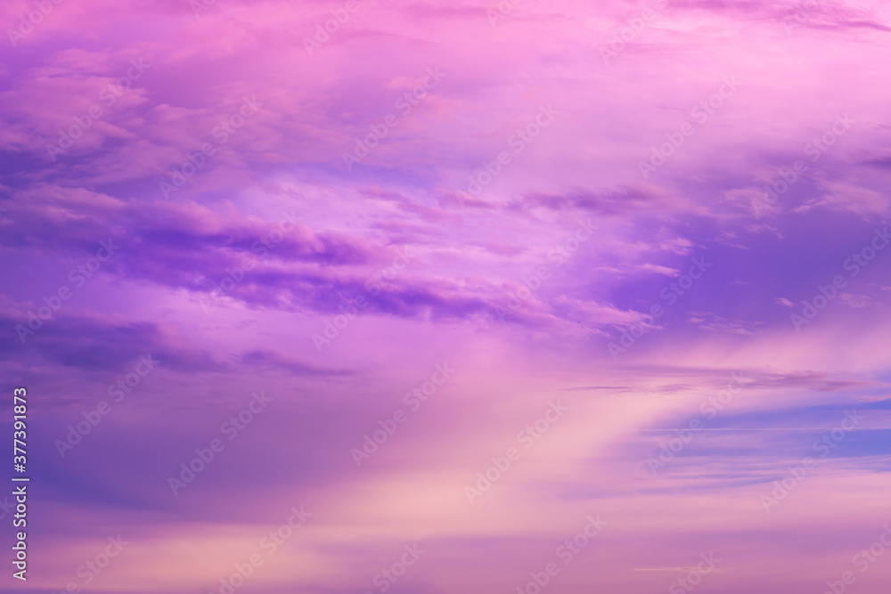 Beautiful pink sky background. Soft clouds at sunset. Many blue, magenta and orange tones and patterns of clouds