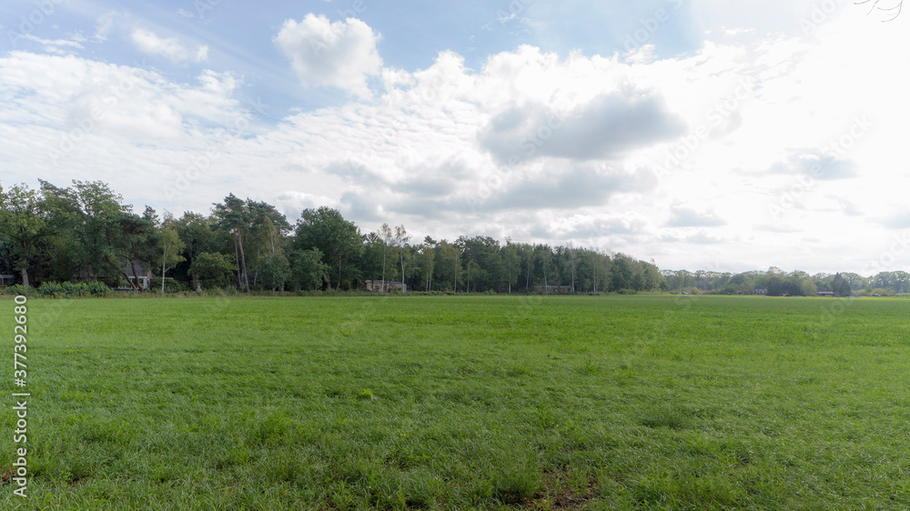 An agricultural field near Zelhem, The Netherlands.