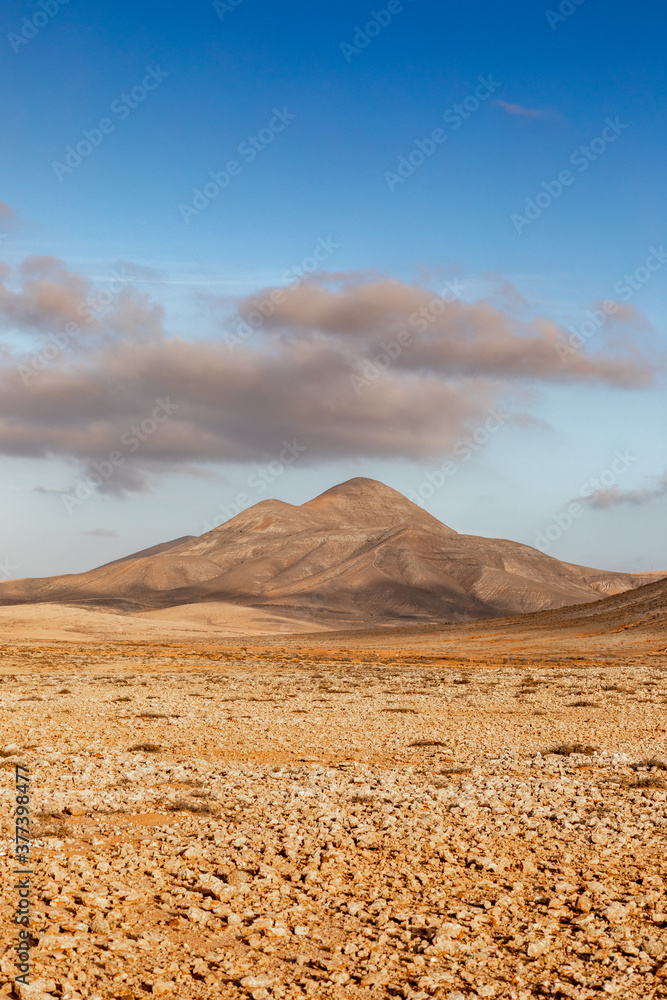 landscape in the desert - fuerteventura, canary islands