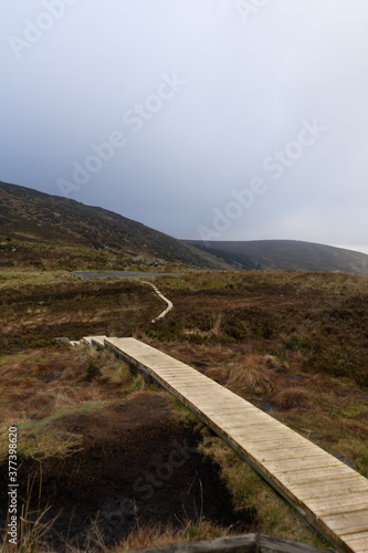 Irish wilderness surrounding a lookout from the road deep country