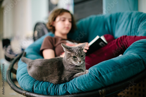 Gray cat sits on a papasan chair with a teenage girl reading a book photo