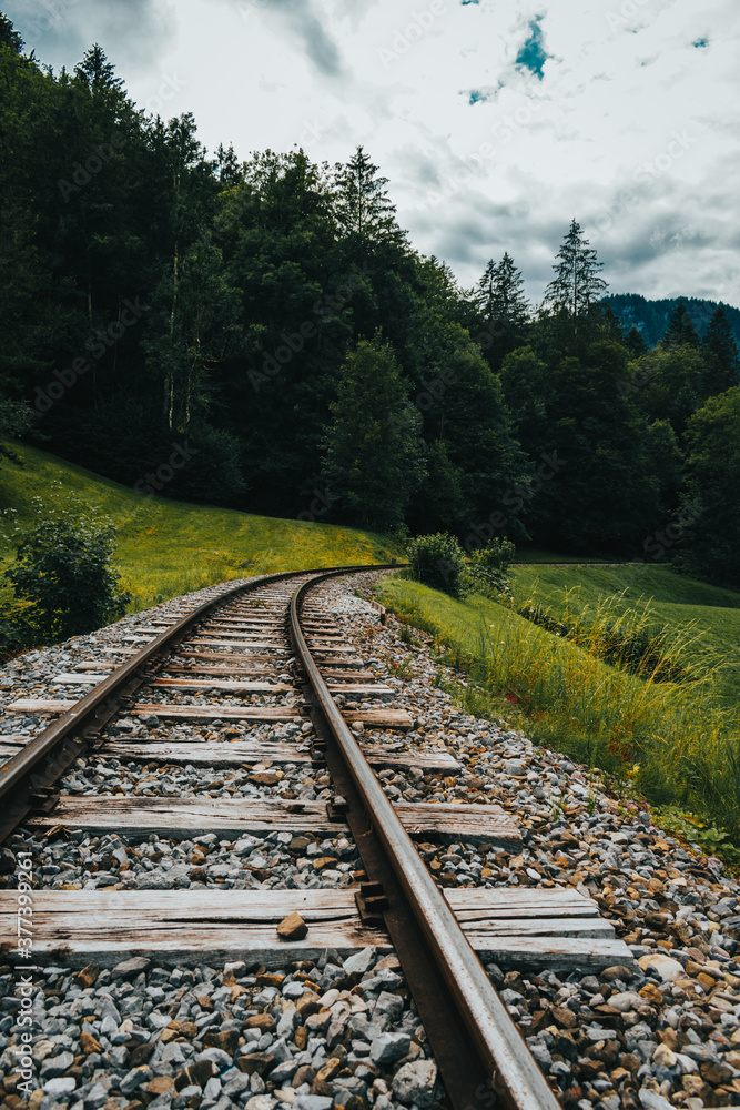 Paisaje con vías de un tren en un campo verde Paisaje con vías de un tren en un campo verde