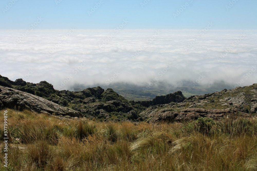 Sea of clouds. View of the hills, yellow grassland, sky and foamy clouds from the rocky mountaintop in a sunny day. 