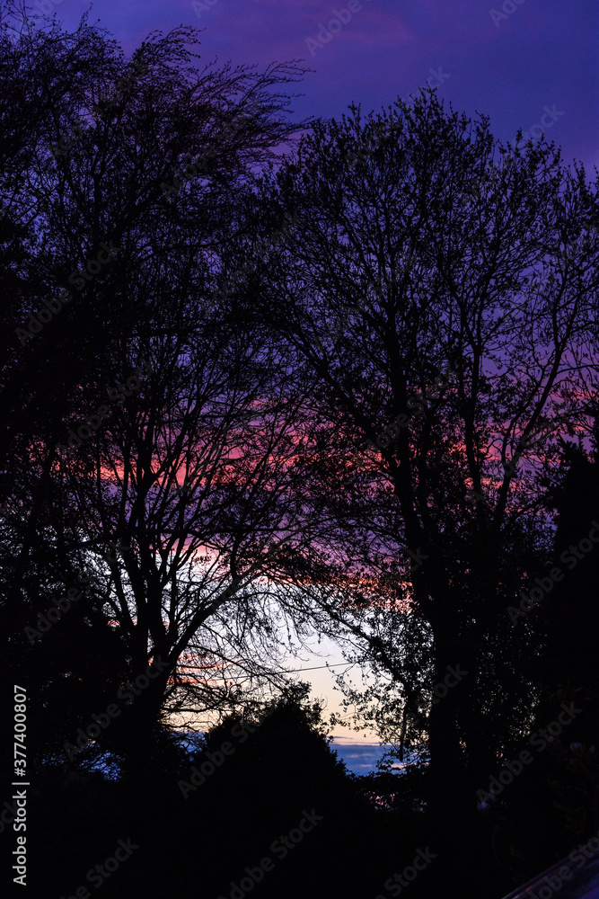 Fototapeta premium Vibrant Violet Sunset