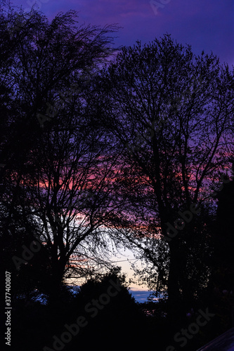 Vibrant Violet Sunset