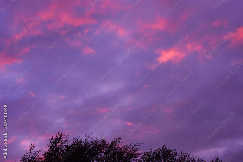 Obraz premium Vibrant Violet Sunset