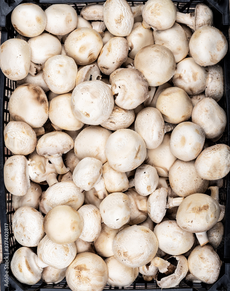 Plastic box full of fresh champignon mushrooms on a wooden background. Plastic box full of fresh champignon mushrooms on a wooden background.