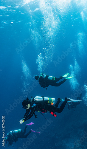 Wallpaper Mural divers descending into the blue at the Great Barrier Reef Torontodigital.ca