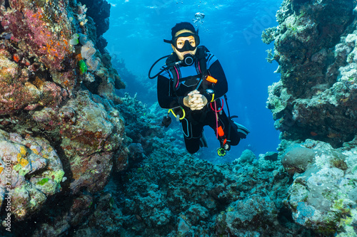 Wallpaper Mural diver exploring the Great Barrie Reef Torontodigital.ca