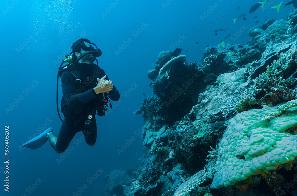 diver exploring coral at the Great Barrie Reef diver exploring coral at the Great Barrie Reef
