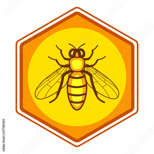 Bee and honey comb