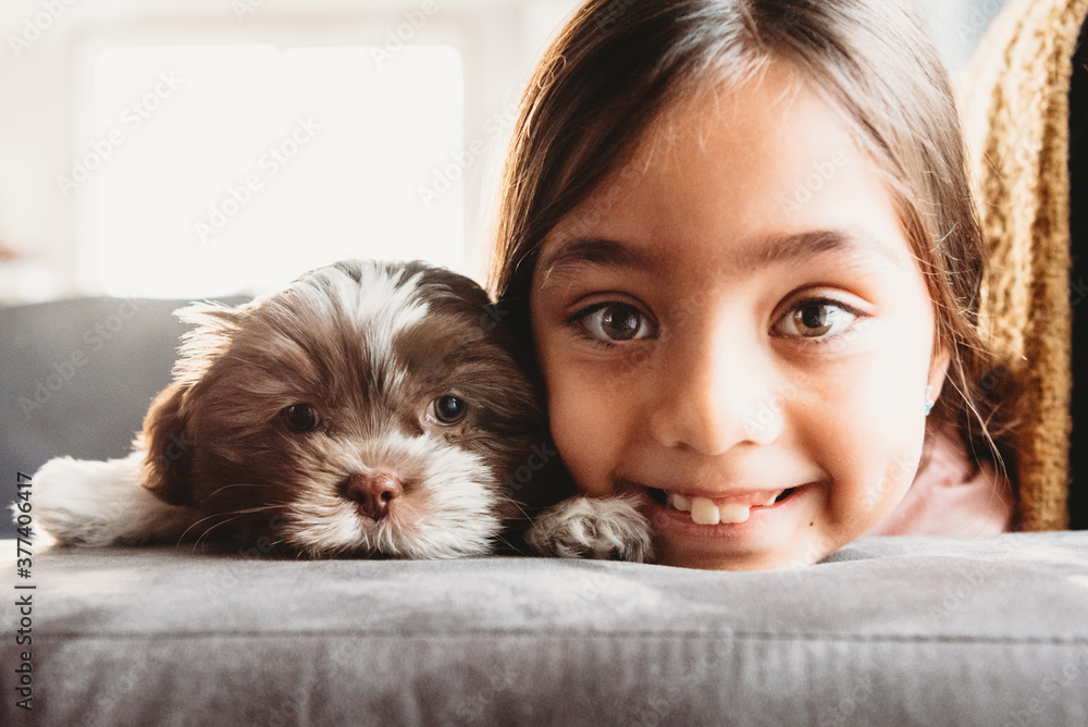 A little girl and her Shitzu puppy smiling A little girl and her Shitzu puppy smiling