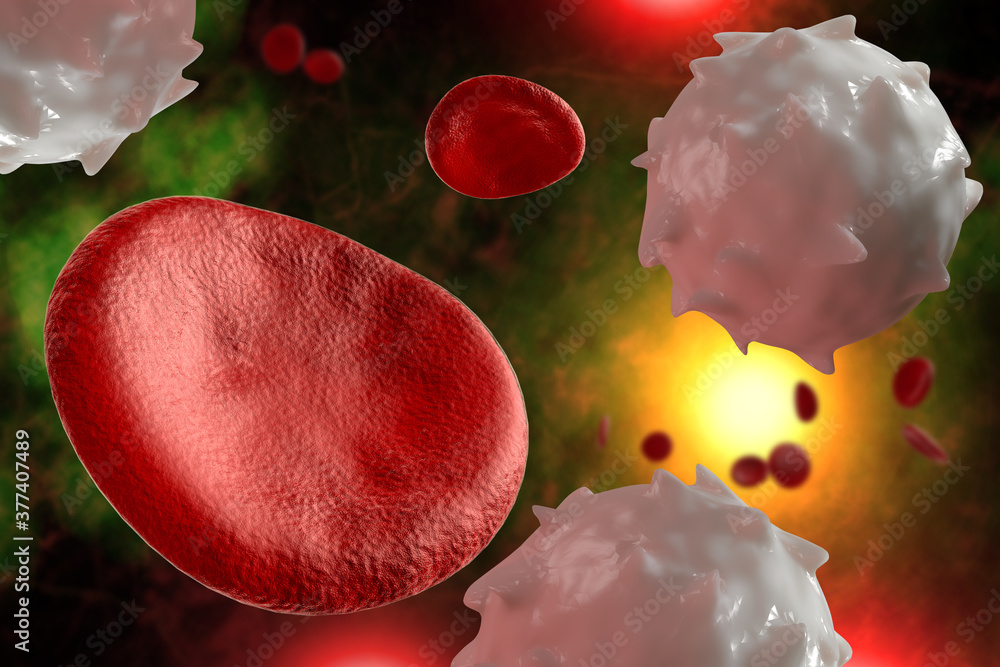 Red White Blood Cells 3D Illustration Red White Blood Cells 3D Illustration