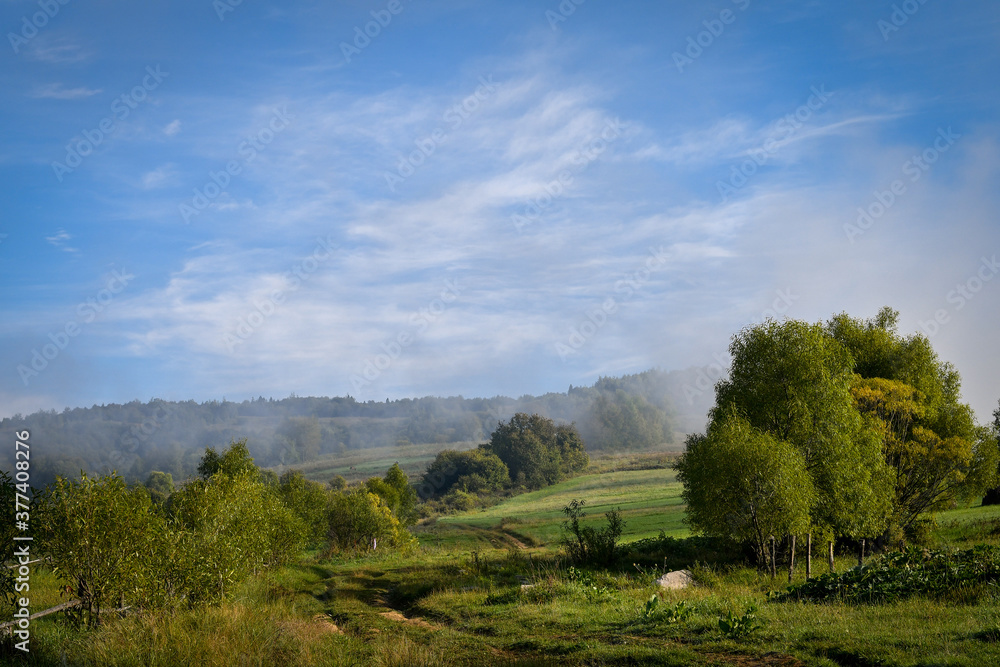 Early autumn morning scenety with trees, blue sky and clouds on a foggy morning.